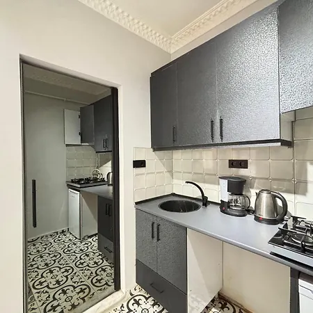 Luxury 1br Turkish Bath Walk To Galata Lägenhet